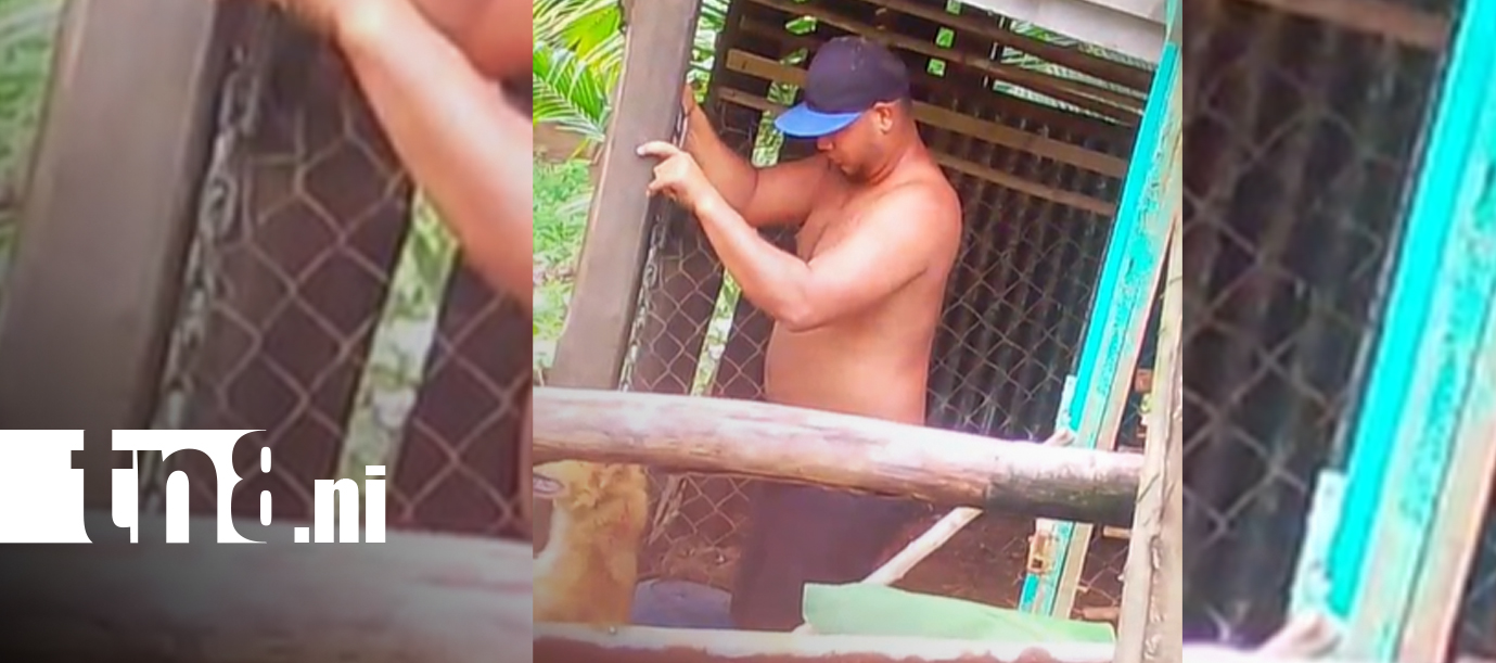Foto: Capturan a sujeto que mató cruelmente a su perro en Bluefields / TN8