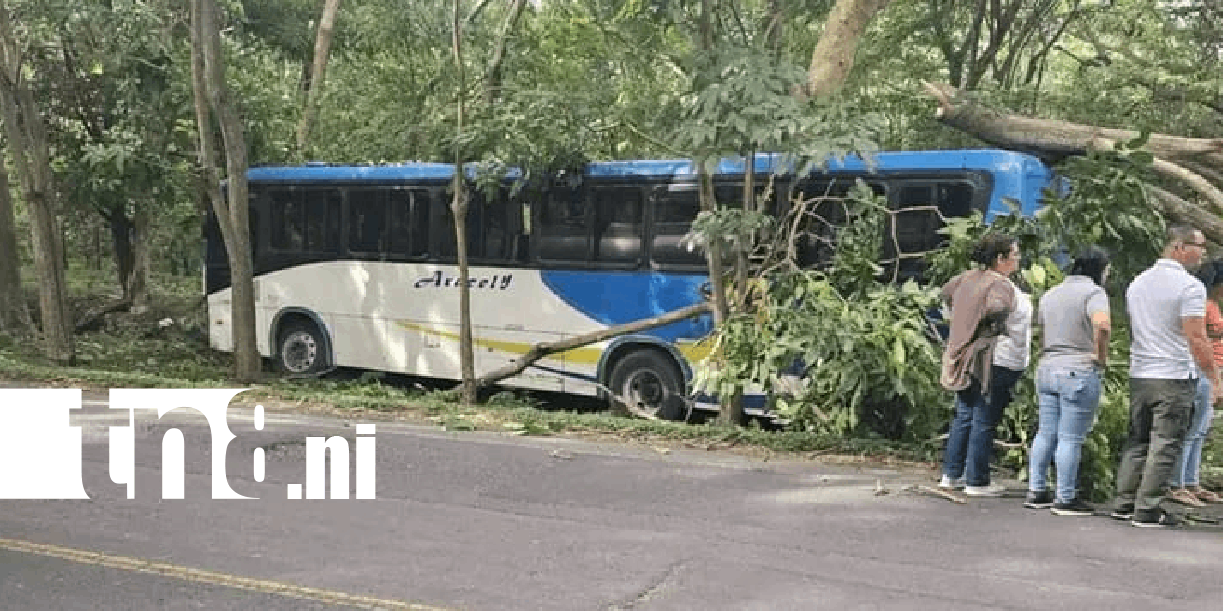 Foto: Bus Managua - Peñas Blancas se estrella contra un árbol /TN8