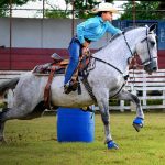 Foto: Cinco caballos aparecen destazados en Boaco/TN8