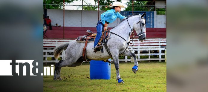 Foto: Cinco caballos aparecen destazados en Boaco/TN8 Foto: Cinco caballos aparecen destazados en Boaco/TN8