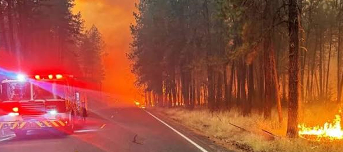 Foto: Voraz incendio golpea Nevada/Cortesía