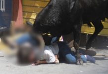 Huamantlada 2026 termina con un muerto y nueve heridos en México Foto: Un muerto y nueve heridos deja la Huamantlada 2026 en México/Cortesía
