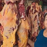 Foto: Producción de carne bovina en Nicaragua alcanza 250.3 millones de libras/Cortesía