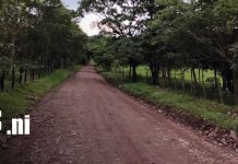 Avanza rehabilitación de cinco kilómetros de camino en El Naranjal, Chontales Foto: Rehabilitación de camino beneficiará a familias de El Naranjal, Chontales/TN8