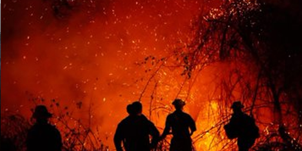 Foto: Emergencia ambiental en Colombia: incendios arrasan miles de hectáreas/Cortesía