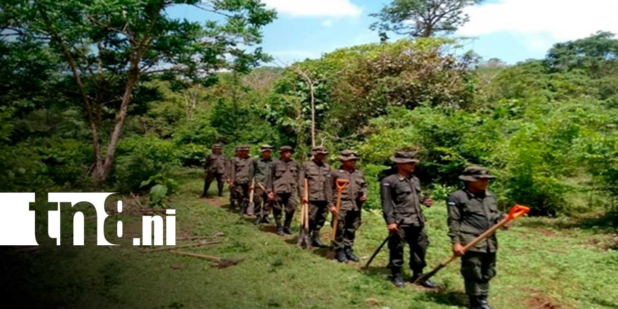 Foto: Batallón Ecológico BOSAWÁS destaca resultados en 47 años del Ejército de Nicaragua / TN8