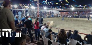 Foto: Las montas de toros llenan de emoción las fiestas tradicionales de Managua/TN8