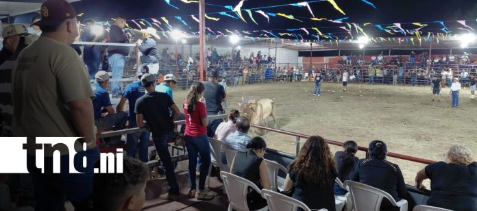Foto: Las montas de toros llenan de emoción las fiestas tradicionales de Managua/TN8 Foto: Las montas de toros llenan de emoción las fiestas tradicionales de Managua/TN8
