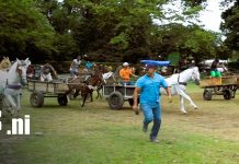 Nandaime celebra con emoción la tradicional carrera de carretones en sus fiestas 2026 Foto: Nandaime vive la emoción de su carrera de carretones/TN8