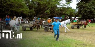 Foto: Nandaime vive la emoción de su carrera de carretones/TN8