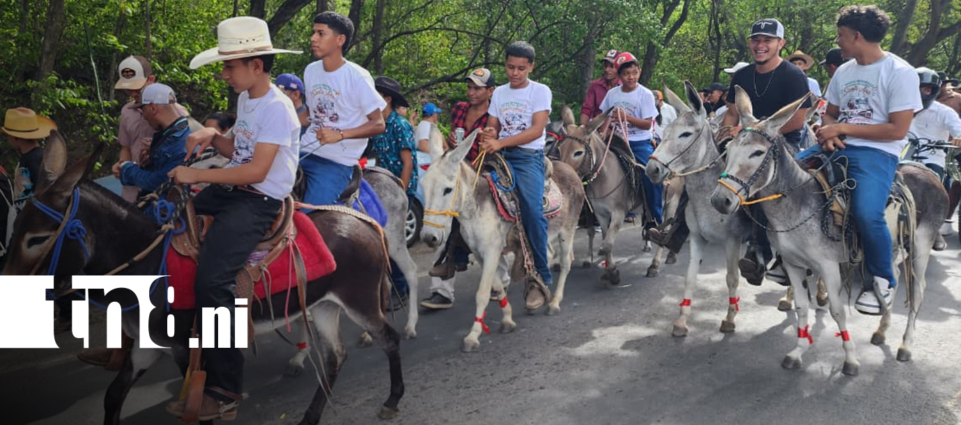Foto: Desfile y carreras de burros llenan de tradición las fiestas patronales en Yalagüina/TN8