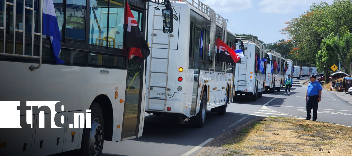 Foto: ¡León recibe 60 nuevos buses Yutong!/TN8