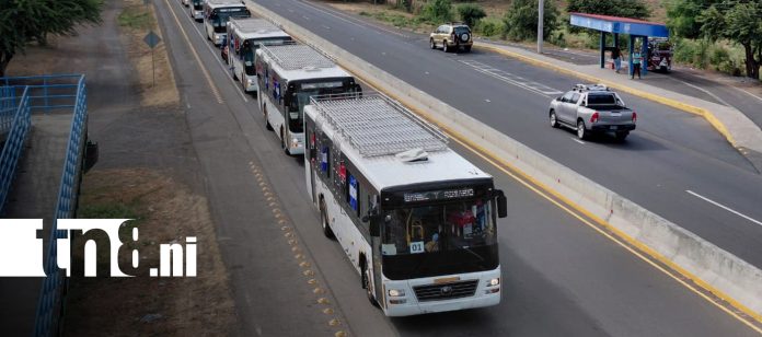 3 Foto: Managua recibe nueva caravana de buses Yutong para fortalecer el transporte colectivo/TN8