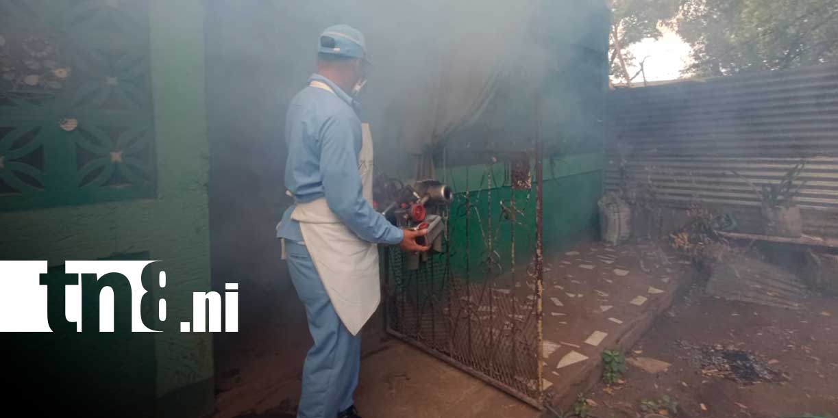 Foto: MINSA intensifica lucha contra el dengue con fumigación en más de 350 viviendas/TN8