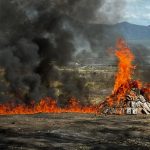 Foto: Incineran 694 kilos de cocaína en San Rafael del Sur/TN8