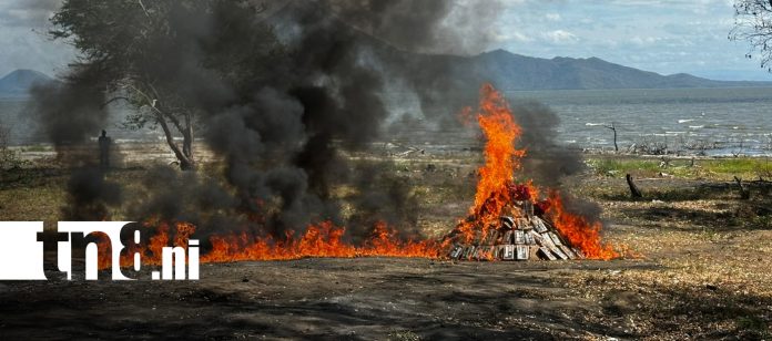 Foto: Incineran 694 kilos de cocaína en San Rafael del Sur/TN8 Foto: Incineran 694 kilos de cocaína en San Rafael del Sur/TN8