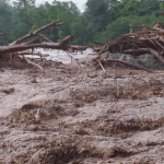 Foto: Devastadora crecida en Nepal /Cortesía