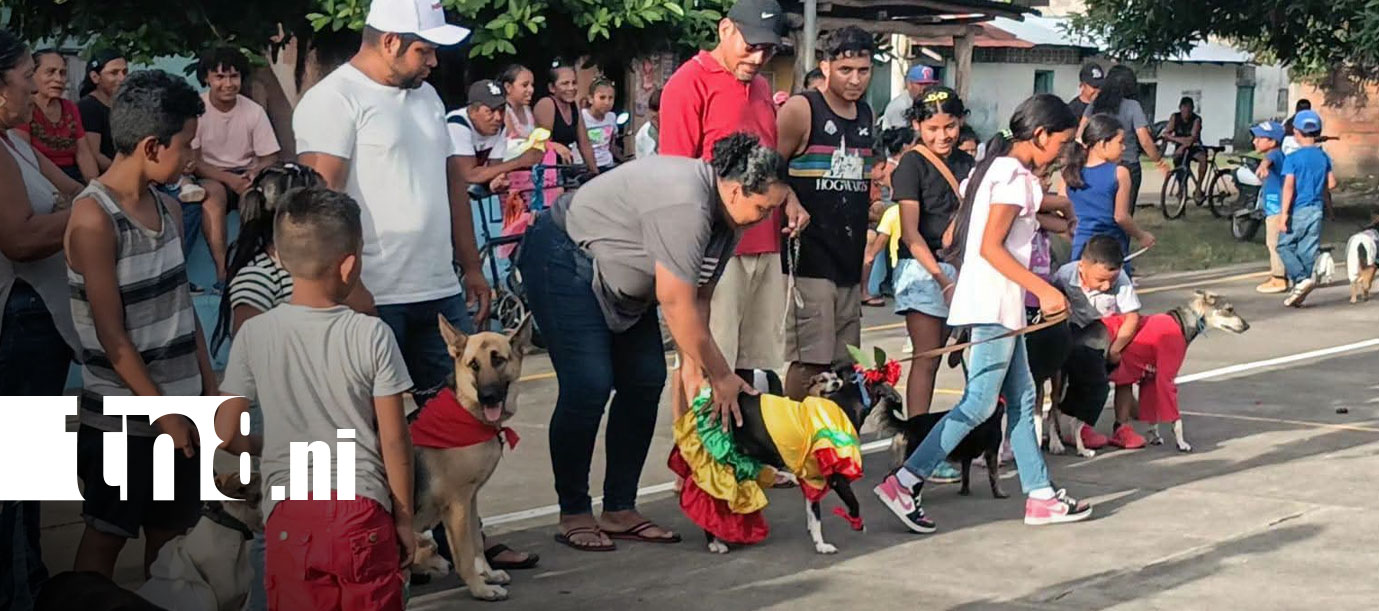 Foto: Familias de La Flor disfrutan desfile de mascotas en Ometepe/TN8
