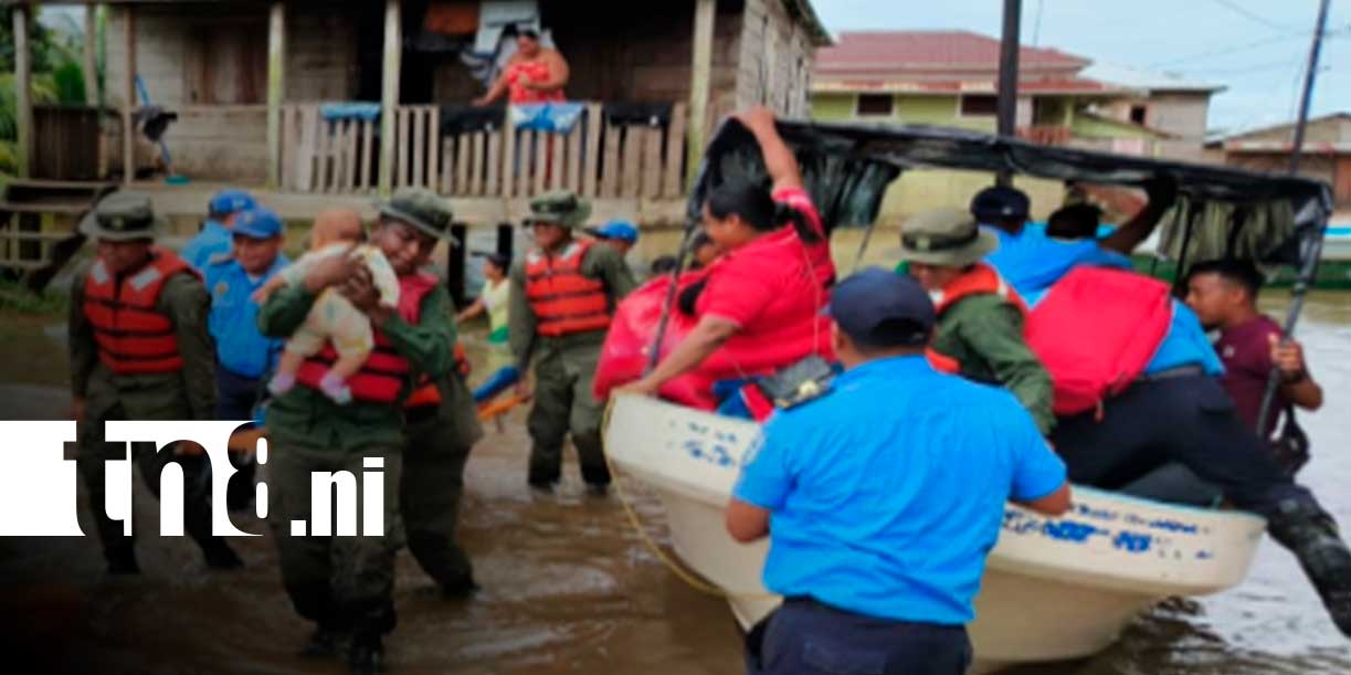 Foto: Batallón Ecológico BOSAWÁS destaca resultados en 47 años del Ejército de Nicaragua / TN8