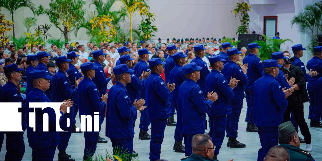 Foto: Fuerza Naval reporta incautaciones y 240 mil servicios operativos /TN8