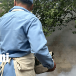 Recreo Sur bajo ataque al mosquito: brigadas buscan frenar el dengue Foto: Brigadas antimosquito se despliegan en el Recreo Sur contra el dengue /TN8