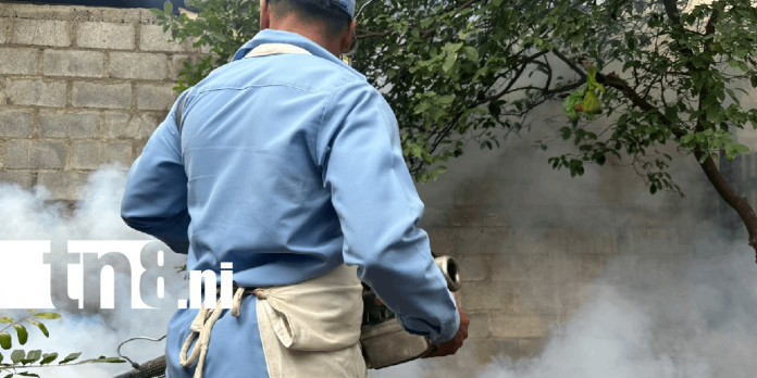 Foto: Brigadas antimosquito se despliegan en el Recreo Sur contra el dengue /TN8