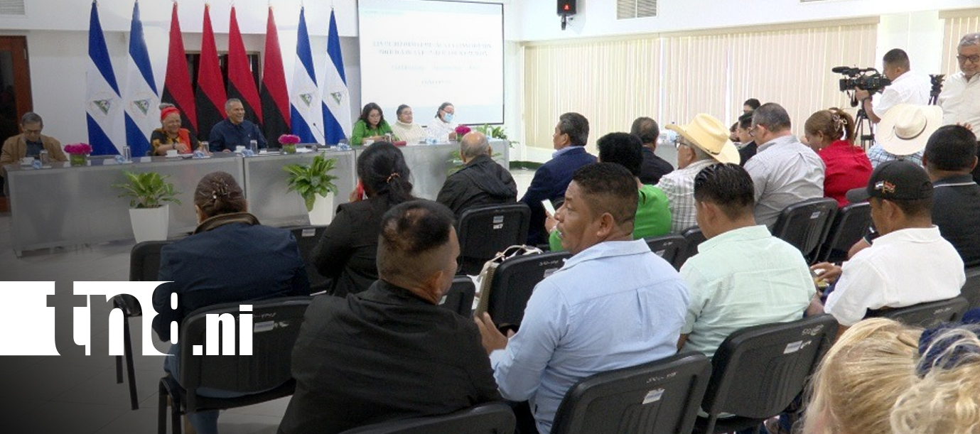 Foto: Pueblos indígenas del Caribe respaldan propuesta de reformas parciales a la Constitución/TN8