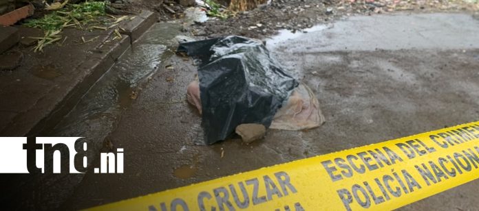 Foto: hombre muere tras caer en una poza de agua en un cauce/TN8 Foto: hombre muere tras caer en una poza de agua en un cauce/TN8