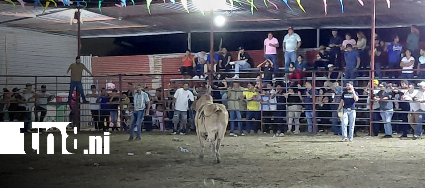 Foto: Las montas de toros llenan de emoción las fiestas tradicionales de Managua/TN8