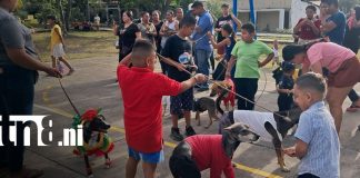 Foto: Familias de La Flor disfrutan desfile de mascotas en Ometepe/TN8