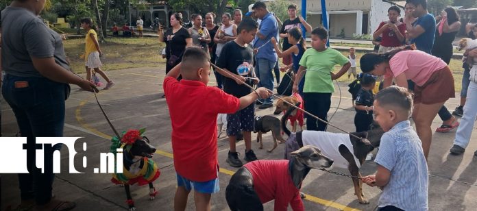 Foto: Familias de La Flor disfrutan desfile de mascotas en Ometepe/TN8 Foto: Familias de La Flor disfrutan desfile de mascotas en Ometepe/TN8
