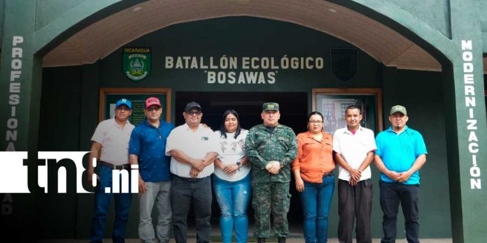 4 Foto: Batallón Ecológico BOSAWÁS destaca resultados en 47 años del Ejército de Nicaragua / TN8