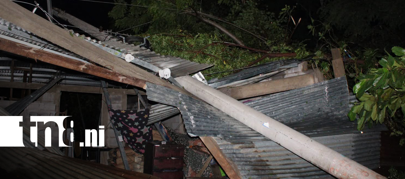 Foto: Fuertes lluvias y vientos dejan caída de árboles en Chinandega/TN8