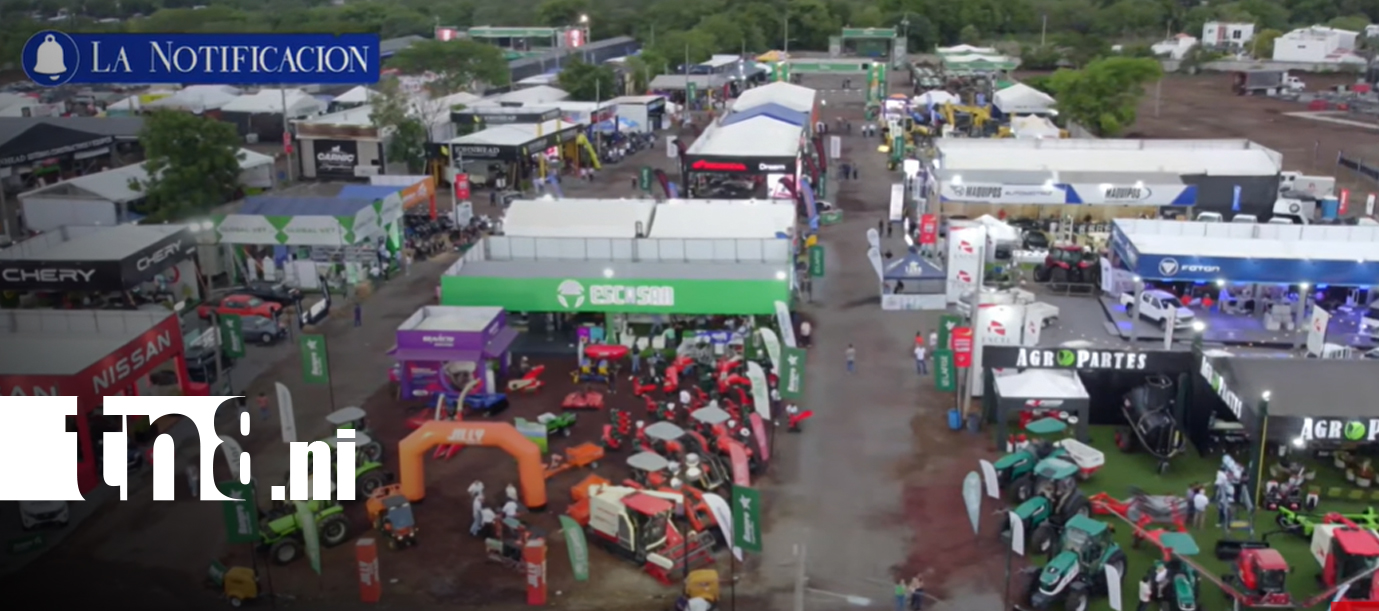 Foto: Sector automotriz toma fuerza durante la Feria Ganadera Internacional Managua 2026/TN8