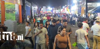 Foto: Feria Ganadera 2026 sorprende con grandes ofertas/TN8
