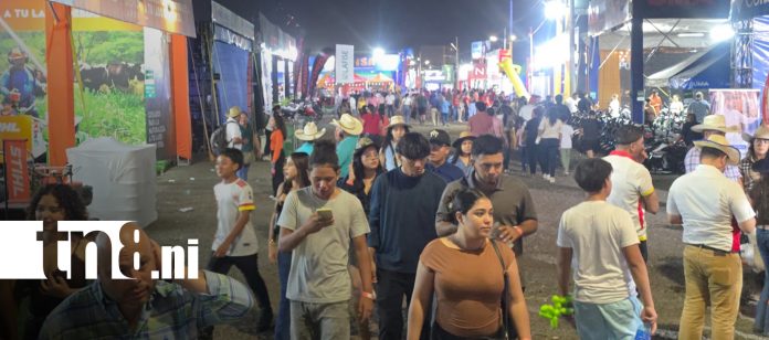 Foto: Feria Ganadera 2026 sorprende con grandes ofertas/TN8 Foto: Feria Ganadera 2026 sorprende con grandes ofertas/TN8