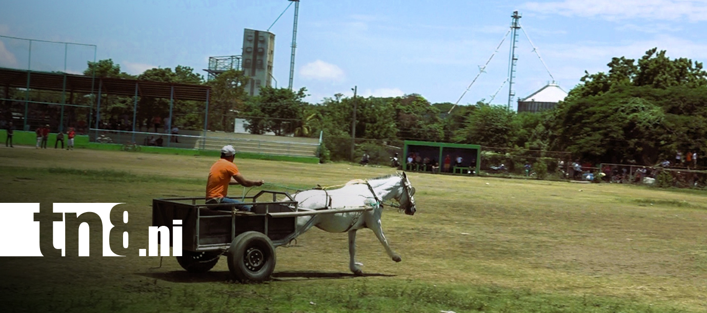 Foto: Nandaime vive la emoción de su carrera de carretones/TN8