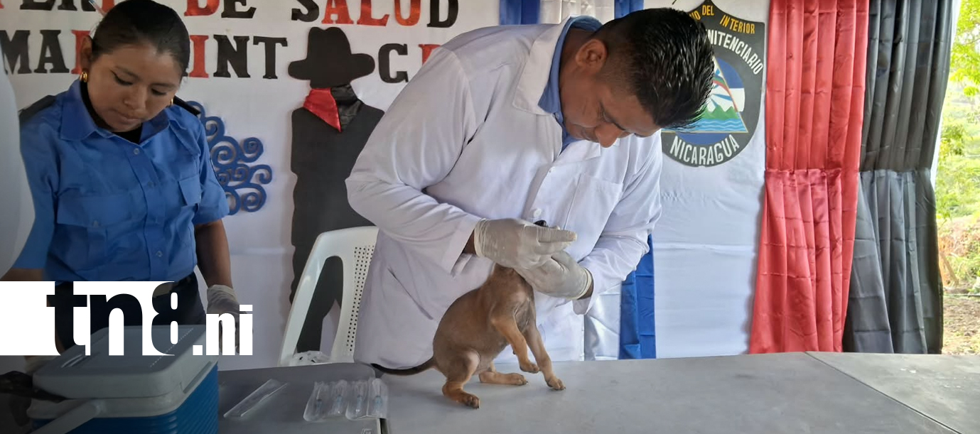 Foto: Foto: Mascotas reciben atención gratuita en Waswali, Matagalpa/TN8