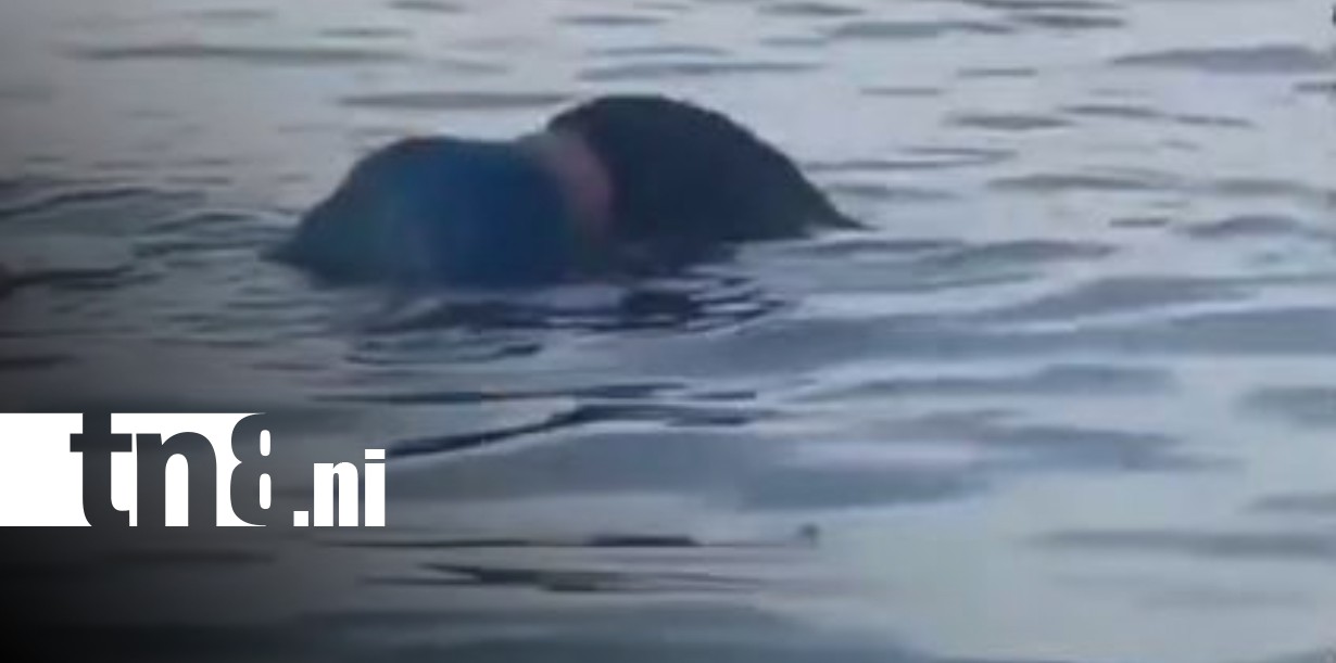 Foto: Hallan sin vida a capitán en Chinandega/TN8