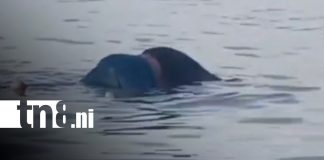 Foto: Hallan sin vida a capitán en Chinandega/TN8