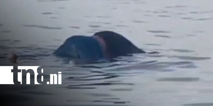 Foto: Hallan sin vida a capitán en Chinandega/TN8