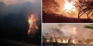 Foto:Más de 20.000 hectáreas afectadas por incendios forestales en Tolima/cortesia