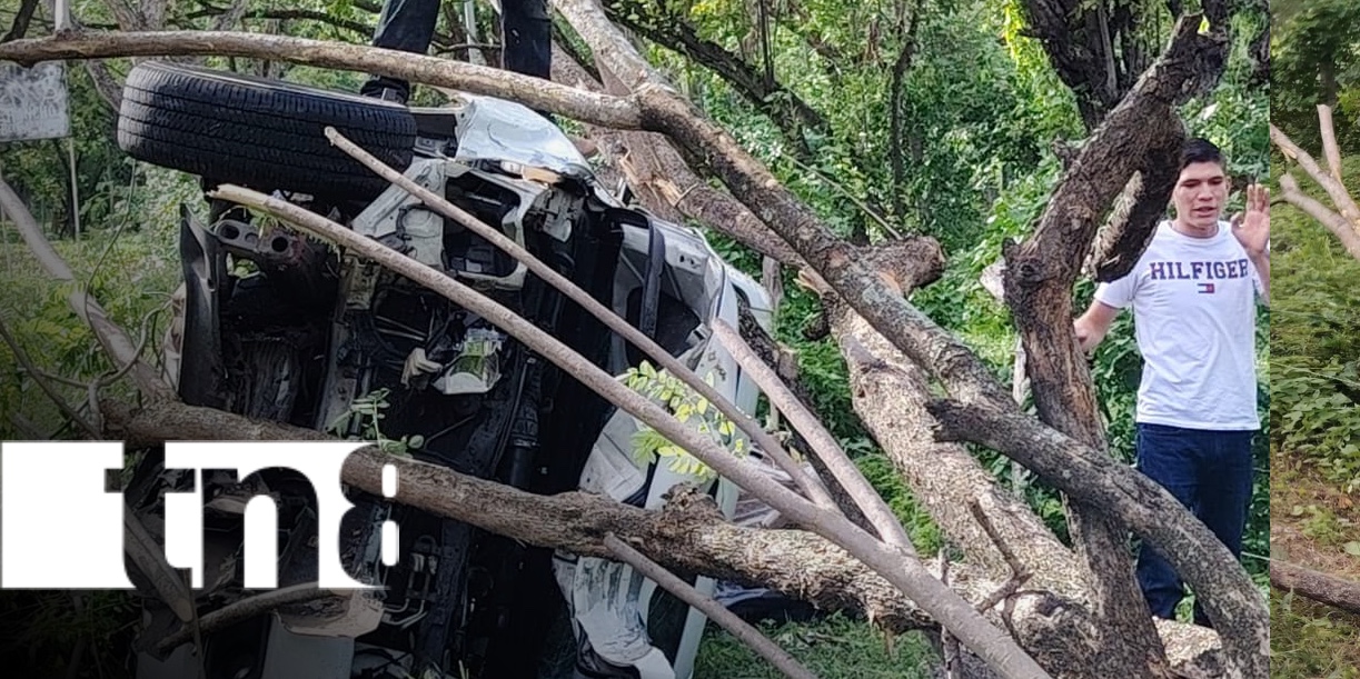 Foto:Conductor pierde el control tras quedarse dormido y choca contra un árbol/tn8