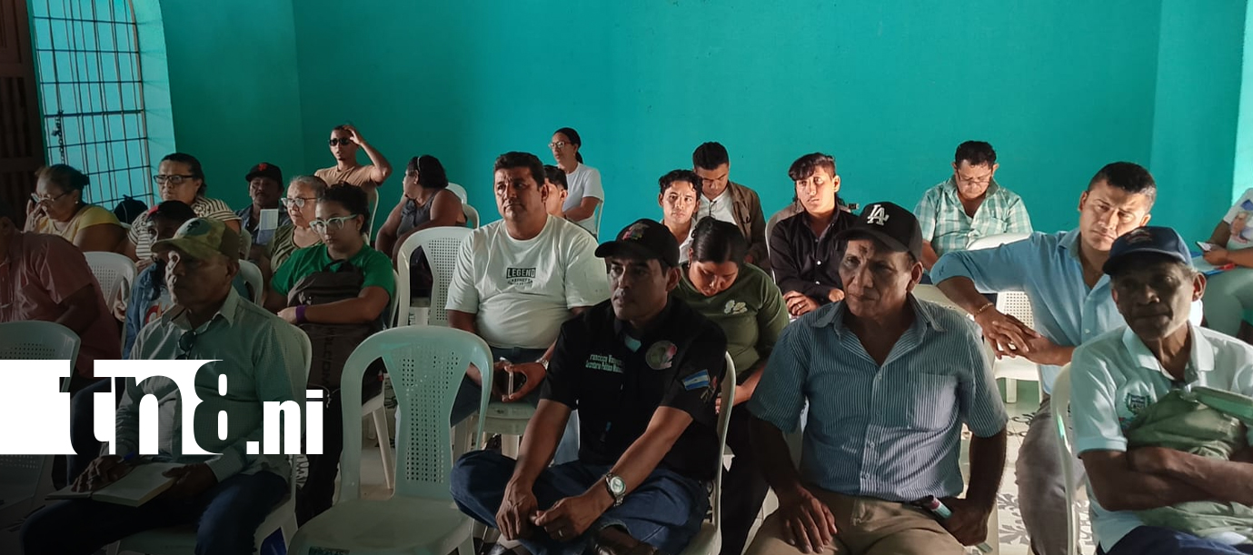 Foto: Productores deben ajustar sus fechas de siembra ante el cambio climático/TN8