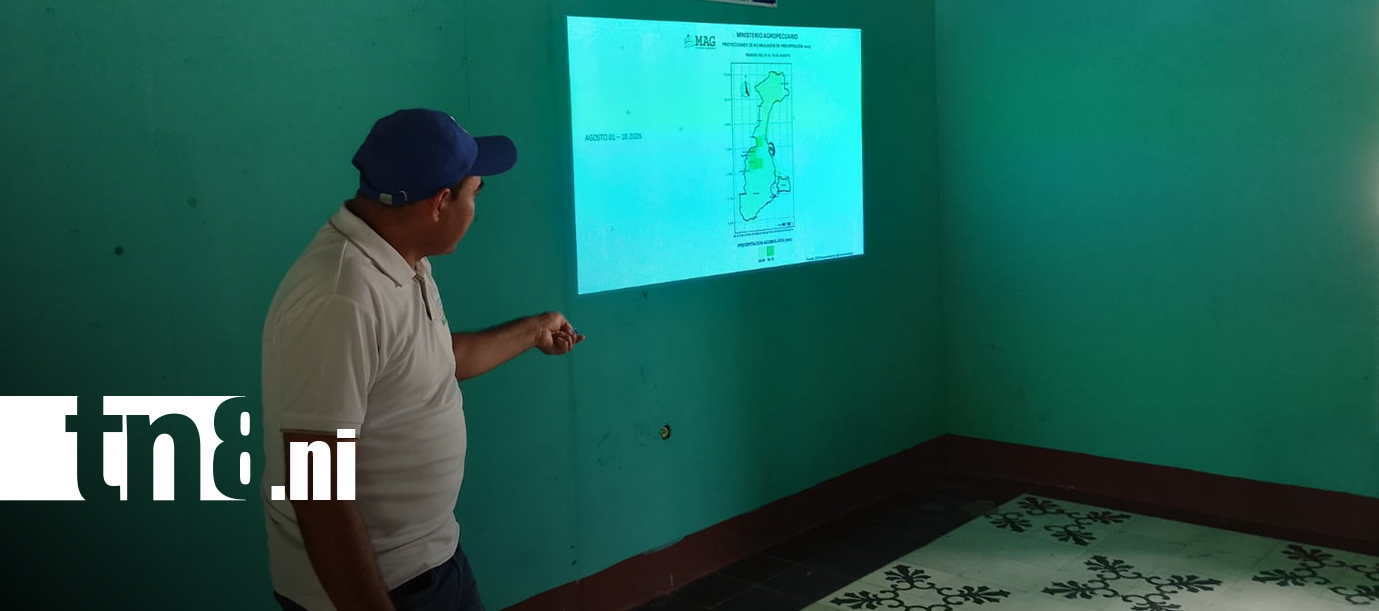 Foto: Frijol, maíz y sorgo aún pueden sembrarse ante el escenario climático/TN8