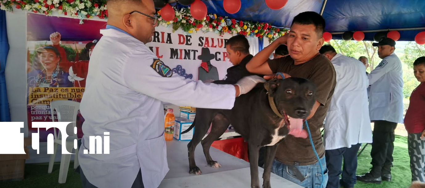 Foto: Foto: Mascotas reciben atención gratuita en Waswali, Matagalpa/TN8