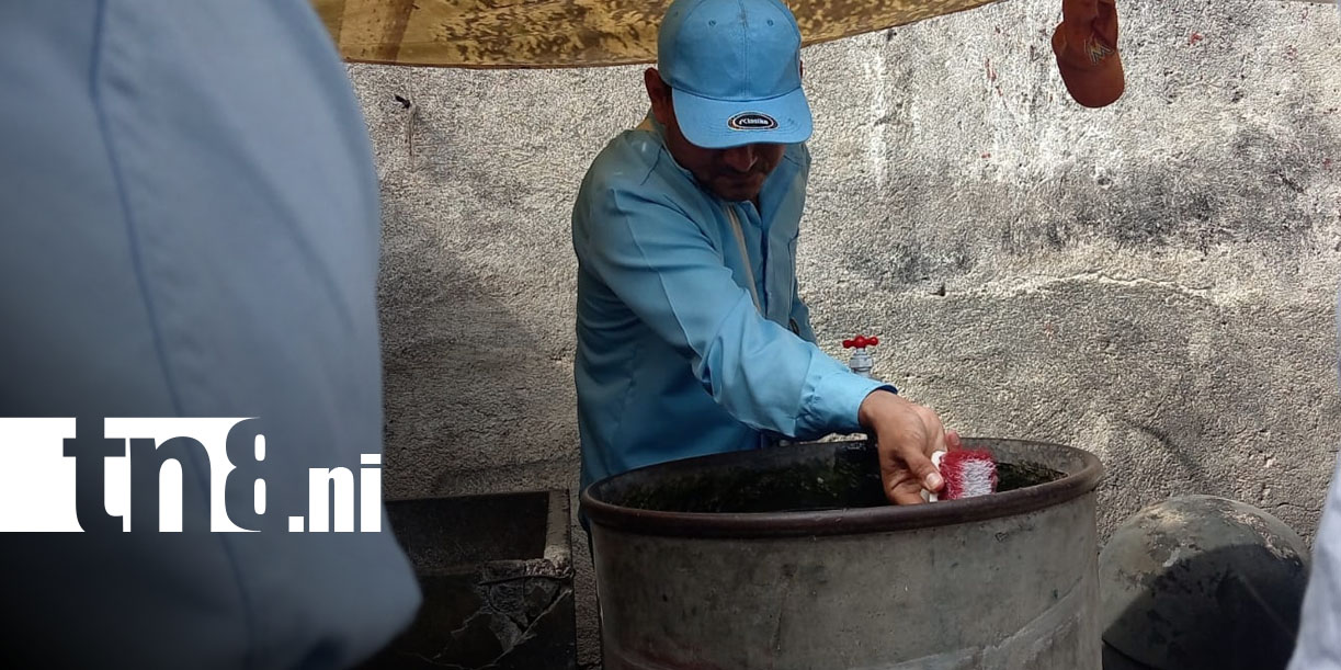 Foto: Managua refuerza ofensiva contra el mosquito transmisor del dengue/TN8