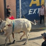 Foto: Fiesta de las Vacas Culonas conquista Managua/TN8