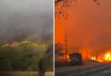 En Colombia, incendios arrasan más de 20.000 hectáreas Foto:Más de 20.000 hectáreas afectadas por incendios forestales en Tolima/cortesia