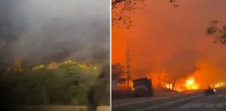 Foto:Más de 20.000 hectáreas afectadas por incendios forestales en Tolima/cortesia